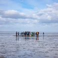 Wattwandern im Watt bei Upleward Gruppe von Menschen folgt einer Führung durch das Wattenmeer bei Upleward, weites Watt und Himmel.