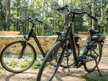 Pedelecs von Omas Drahtesel Pedelecs von Omas Drahtesel