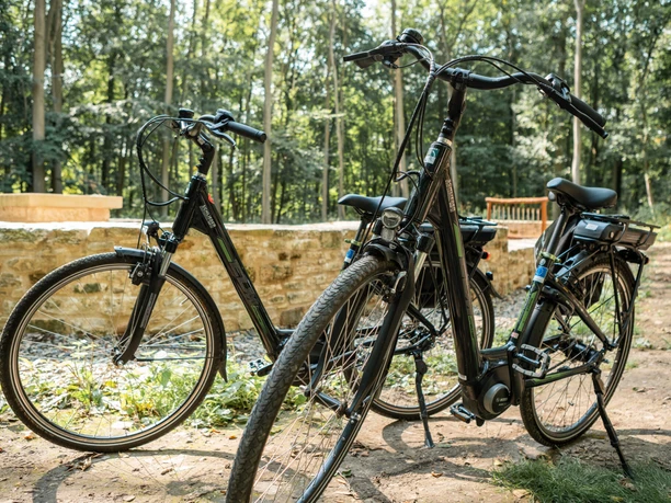 Pedelecs von Omas Drahtesel Pedelecs von Omas Drahtesel