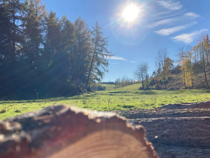 Wandern im Paderborner Land