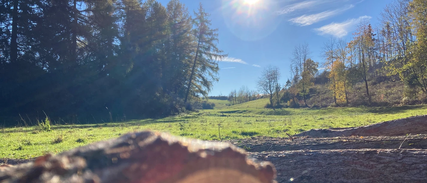 Wandern im Paderborner Land Wandern im Paderborner Land