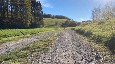 Wandern im Paderborner Land