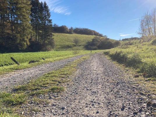 Wandern im Paderborner Land Wandern im Paderborner Land