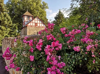 Hospitalskapelle mit Rosen