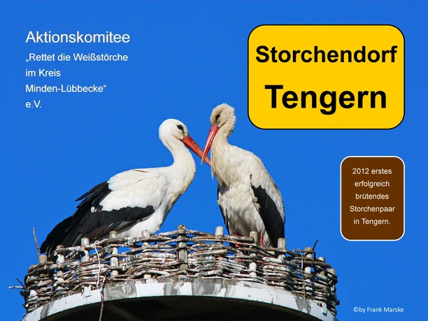 Zwei Weißstörche stehen auf einem Horst, der mit Ästen und Zweigen im Storchendorf Tengern gebaut ist.