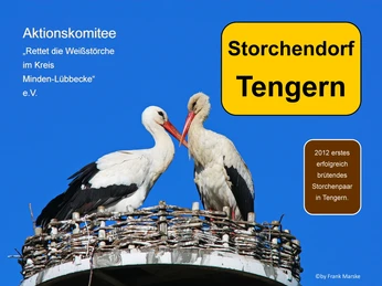 Storchendorf Tengern Zwei Weißstörche stehen auf einem Horst, der mit Ästen und Zweigen im Storchendorf Tengern gebaut ist.