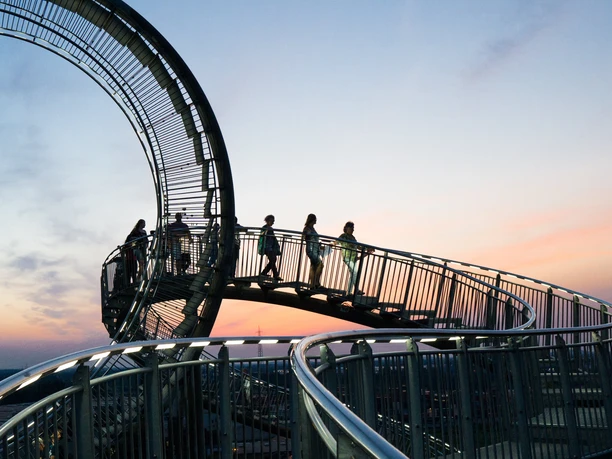 Abendführung Tiger & Turtle