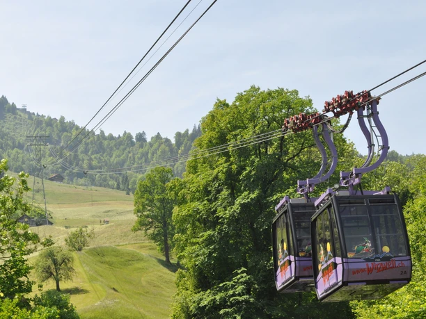 Wirzweli_Sommer_Fotos