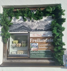 Eierfenster Farchant Fenster mit grüner Tannenzweiggirlande. Im Fenster Eierschachteln und Plakat 10 Stück Freilandeier 4.-- Euro, Lammfleisch, Schafteile, Schafzucht Hibler sowie Schlitz mit Aufschrift Kasse