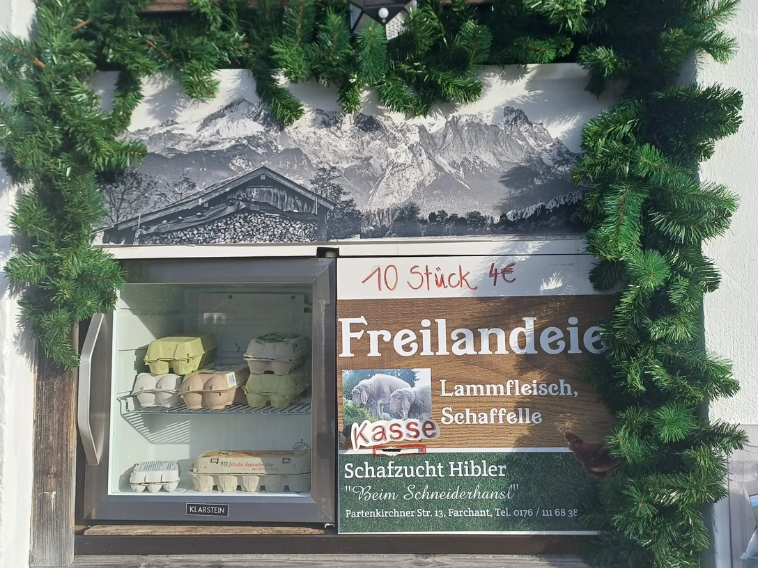 Eierfenster Farchant Fenster mit grüner Tannenzweiggirlande. Im Fenster Eierschachteln und Plakat 10 Stück Freilandeier 4.-- Euro, Lammfleisch, Schafteile, Schafzucht Hibler sowie Schlitz mit Aufschrift Kasse