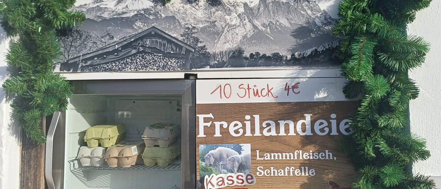 Eierfenster Farchant Fenster mit grüner Tannenzweiggirlande. Im Fenster Eierschachteln und Plakat 10 Stück Freilandeier 4.-- Euro, Lammfleisch, Schafteile, Schafzucht Hibler sowie Schlitz mit Aufschrift Kasse