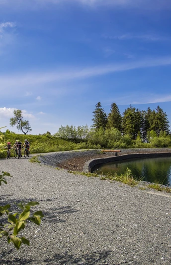 Hochheideturm und Bergsee auf dem Ettelsberg