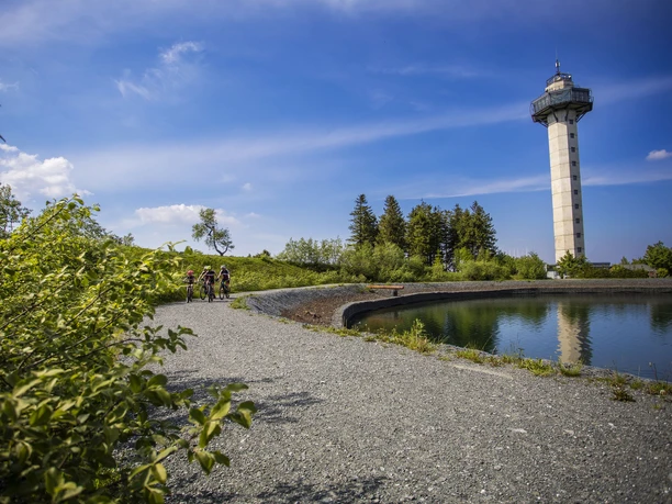 Hochheideturm und Bergsee auf dem Ettelsberg
