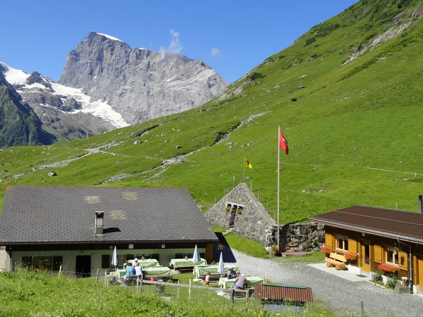 Alp Hobiel mit Titlis.JPG