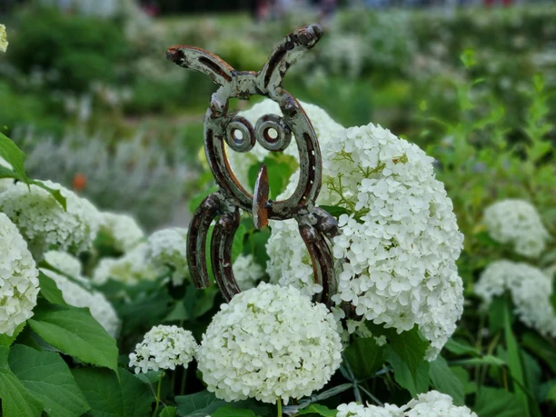 20210725 Gartenliebe Weisser Garten