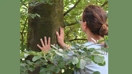 Waldspaziergänge.jpg