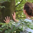 Waldspaziergänge.jpg