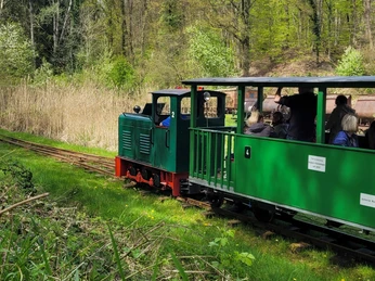 Waldbahn©Dorothee Meyer (1).jpg Waldbahn Buchhorst