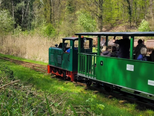 Waldbahn©Dorothee Meyer (1).jpg Waldbahn Buchhorst