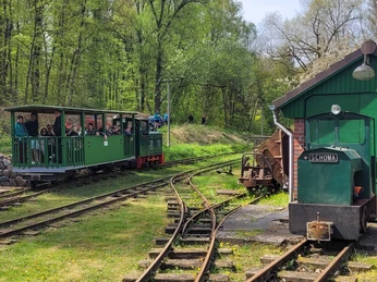 ©Dorothee Meyer (3).jpg Waldbahn