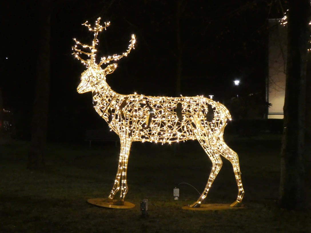 Reh beleuchtetDeer illuminatedHjorte oplystHerten verlicht