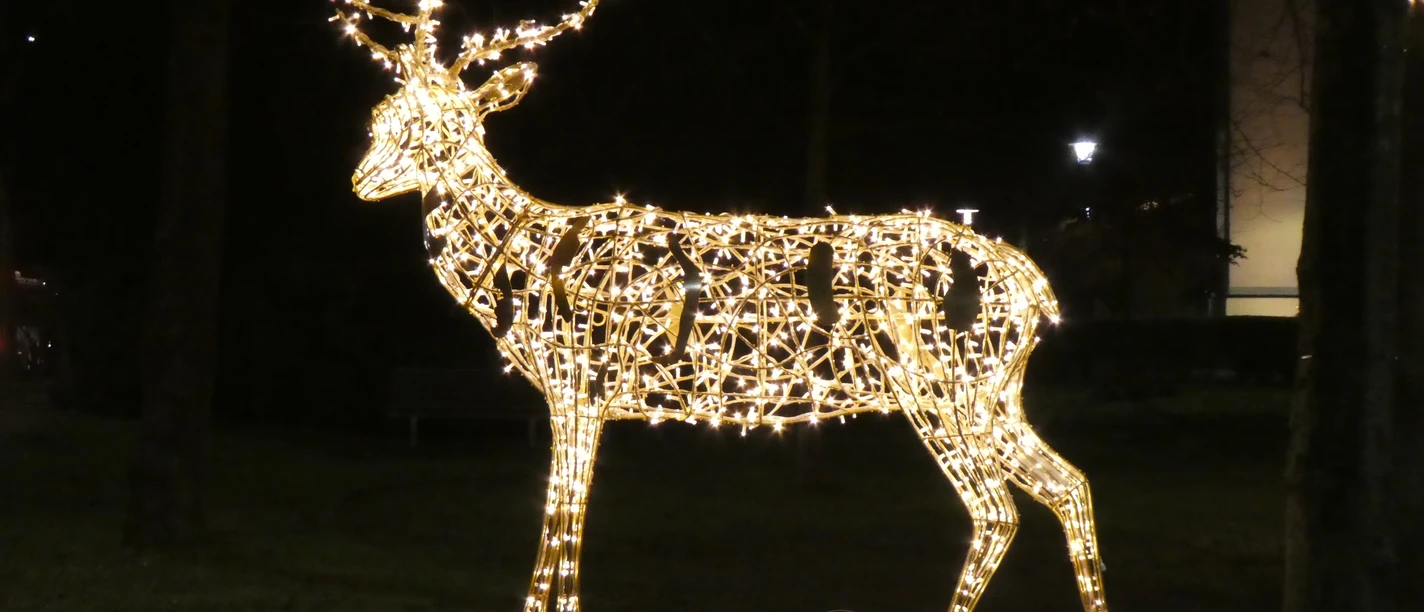 P1020004.JPG Deer illuminated