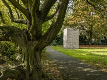 Sculpture park Ein gepflasterter Weg führt durch den Skulpturenpark in Köln, gesäumt von einem beeindruckenden Baum mit knorrigen Ästen. Im Hintergrund steht ein monolithartiges Kunstwerk, umgeben von üppigem Grün und herbstlich gefärbtem Laub.A paved path leads through the sculpture park in Cologne, lined by an impressive tree with gnarled branches. A monolithic work of art stands in the background, surrounded by lush greenery and autumn-colored foliage.