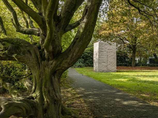 Sculpture park A paved path leads through the sculpture park in Cologne, lined by an impressive tree with gnarled branches. A monolithic work of art stands in the background, surrounded by lush greenery and autumn-colored foliage.