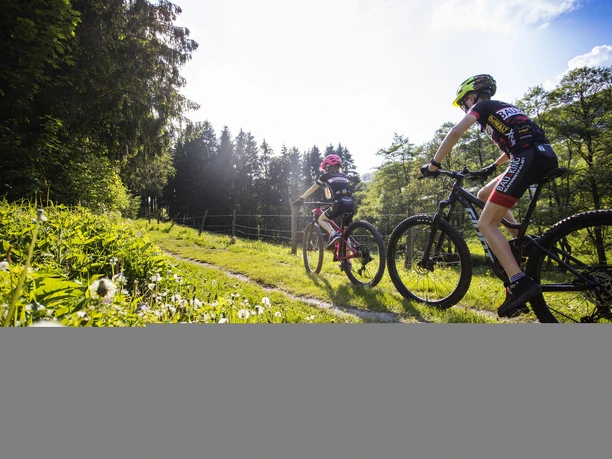Familientour durch Wiesenlandschaft rund um Willingen