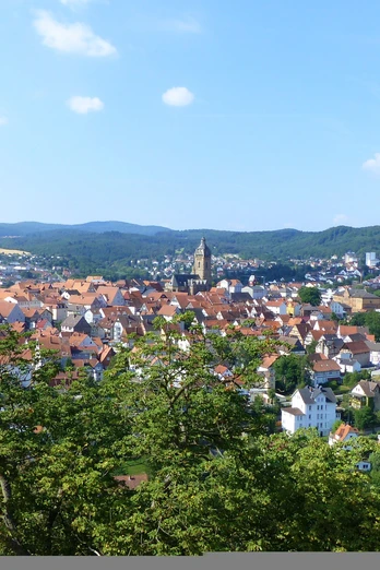 Altstadt Bad Wildungen von Schloss Friedrichstein