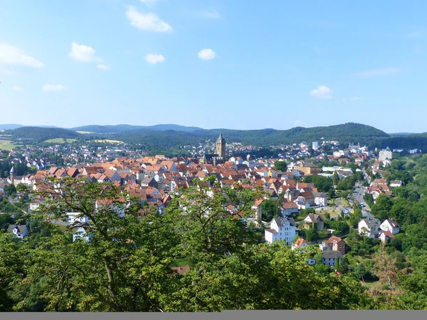 Altstadt Bad Wildungen von Schloss Friedrichstein