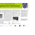 urnengraeberfeld-suederbrarup.JPG