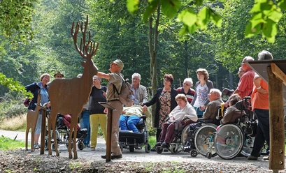 Wilder Weg