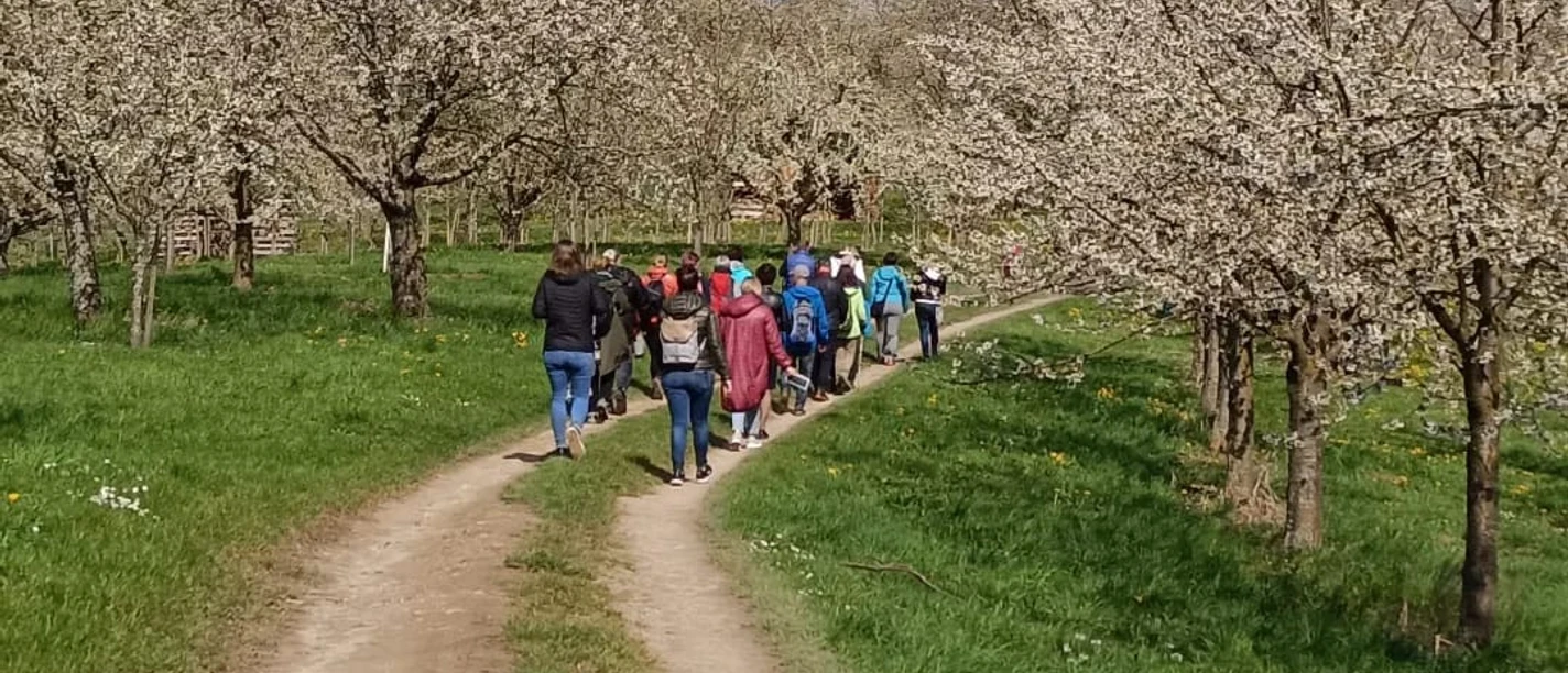 Impressionen Bluetenwandertag 10042022 2