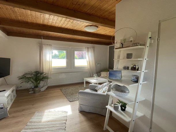 Blick ins Wohnzimmer Ferienhaus am Dümmer-See