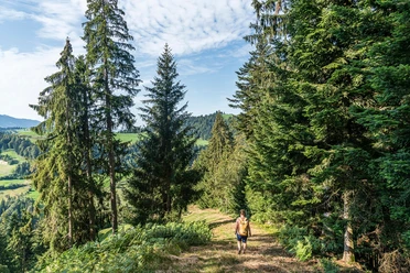 Köhlerweg Romoos
