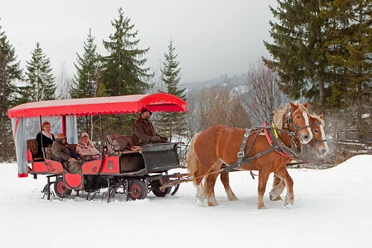 Kutschfahrt Pferdekutsche im Winter mit 2 Pferden, 1 Kutscher und 3 Gästen in der Kutsche mit rotem Dach