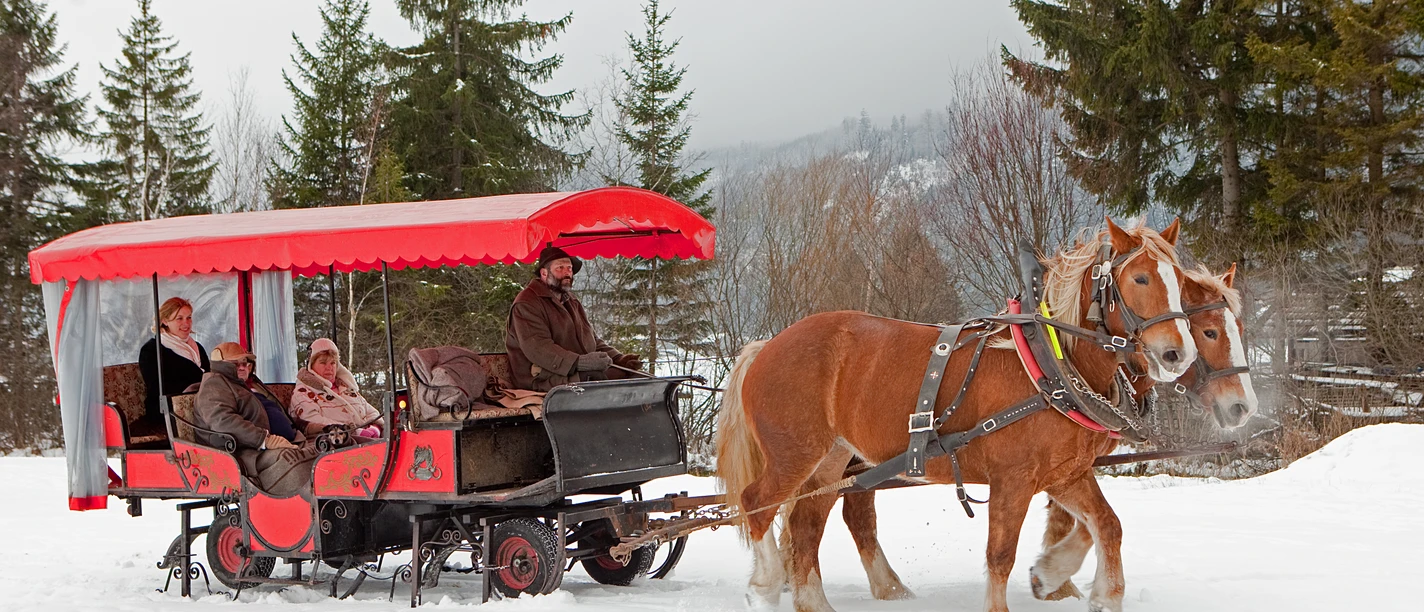 Kutschfahrt Pferdekutsche im Winter mit 2 Pferden, 1 Kutscher und 3 Gästen in der Kutsche mit rotem Dach