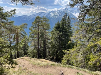 Ausblick v. einem Eschenloher Berg in die Umgebung