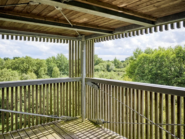 Baumkronenturm_oben_FlorianTrykowski