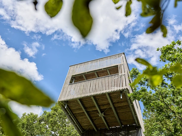 Baumkronenturm_unten_FlorianTrykowski