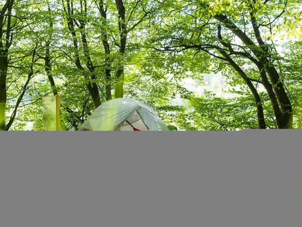 Trekkingplatz D2 -Waldkante bei Wirmighausen