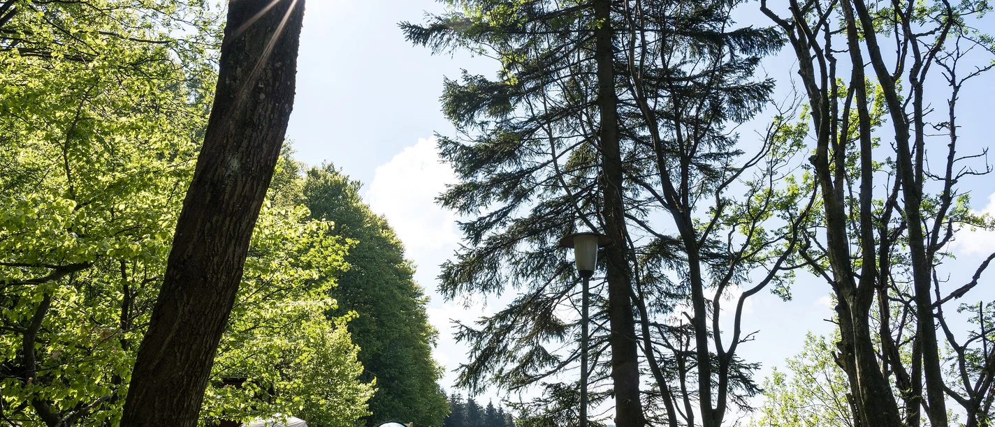 Trekkingplatz U3 - Büller Höhe