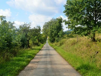 Auf dem Geschichtspfad Welleringhausen
