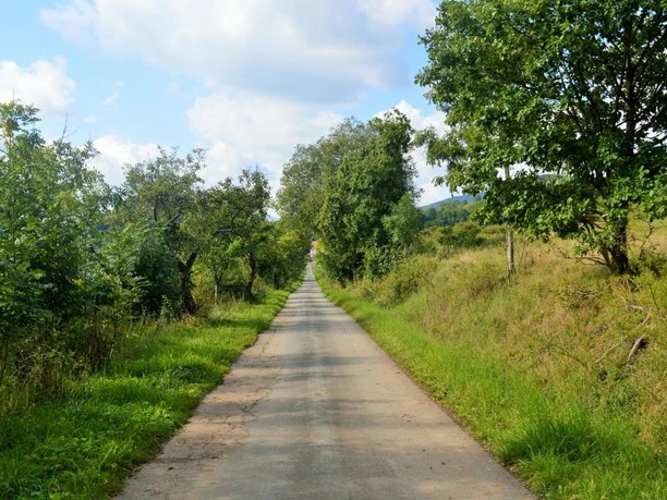 Auf dem Geschichtspfad Welleringhausen