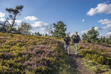 Wanderer in der Heidelandschaft am Kahlen Pön