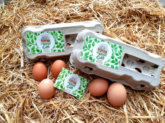 Wallgauer Freilandeier