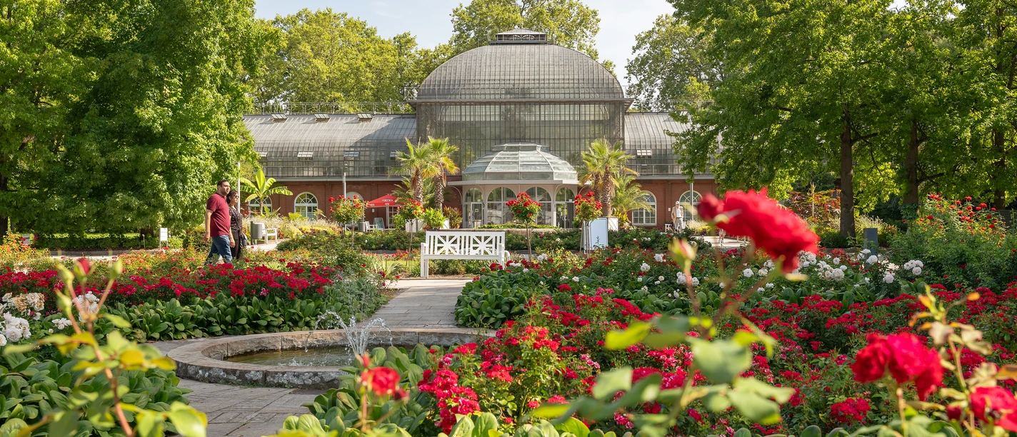 Palmengarten