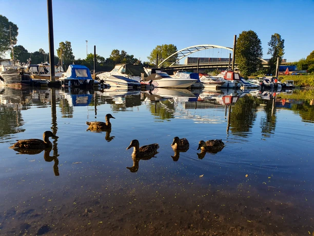 Yachthafen Marina 2020©Dorothée Meyer (36).jpg Sportboote auf der Elbe bei Lauenburg