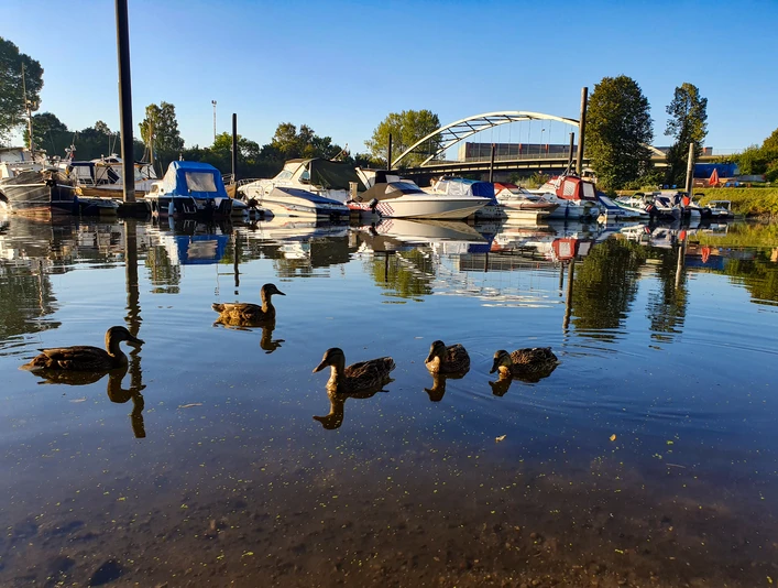 Yachthafen Marina 2020©Dorothée Meyer (36).jpg Sportboote auf der Elbe bei Lauenburg